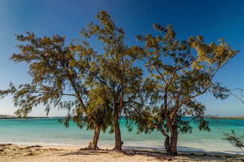 White sand beach near Diego Suarez