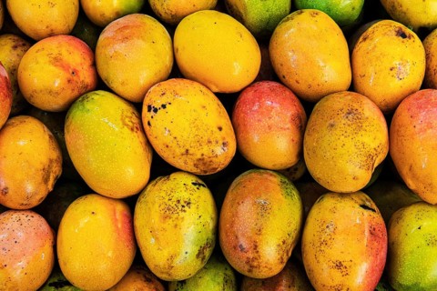 Mango
