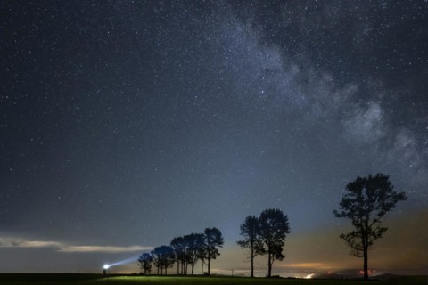 Group of trees with photographer and Milky Way with starry sky