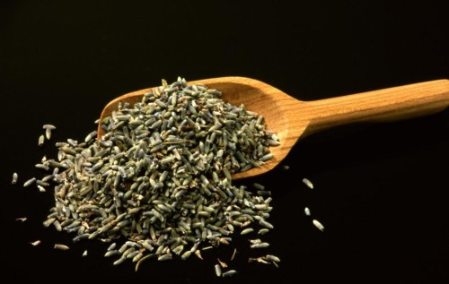 Dried lavender flowers
