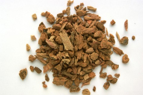 Medicinal plant quebracho bark