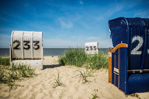 Beach chairs on the sandy beach