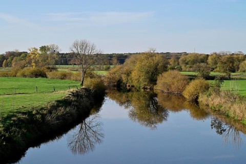 Leine in the Leine Valley near Bordenau
