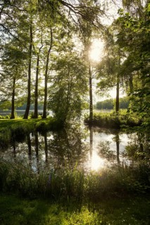 Schaalsee near Seedorf