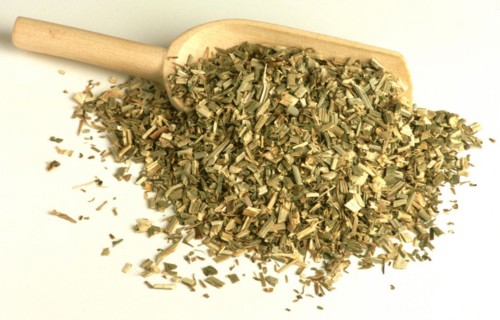 Medicinal herbs dried chicory