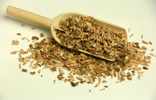 Medicinal plant