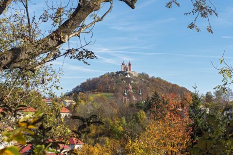 Kalvaria
