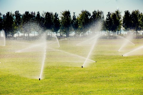 Lawn water sprinkler spraying water over grass in garden