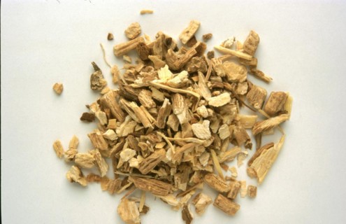 Soap root