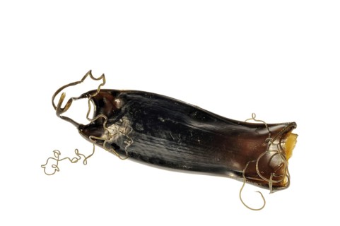 Egg case