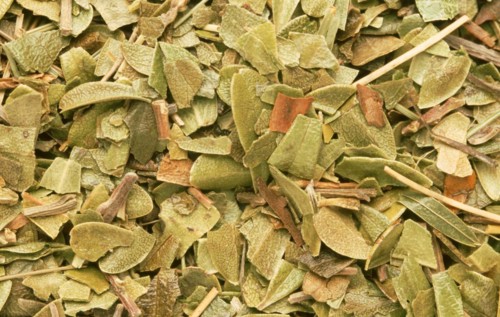 Natural remedy dried bearberry leaves