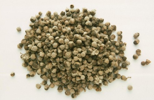 Medicinal herbs: chaste tree