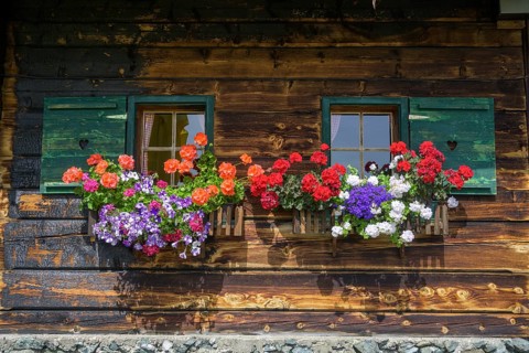 Flower window at the Priesshuette on the Nockalm Road