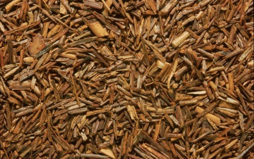 Aspalanthus lineatis