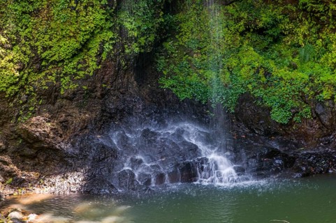 Waterfall in the Montagne dÂ´Ambre National Park