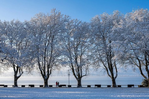 View of Lake Constance from the snow-covered Mettnaupark