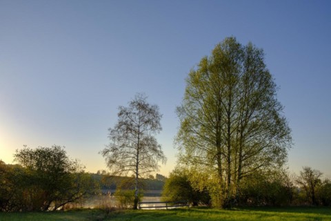 Morning sun at Lake Taching