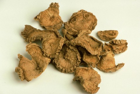 Medicinal plant