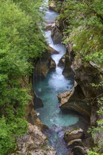Narrows of the river at the Velika korita Soce