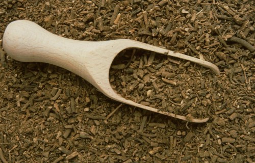 Medicinal plant