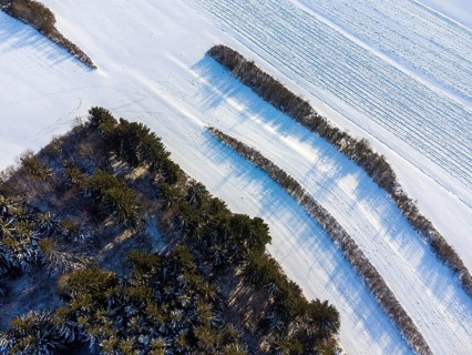 Small piece of snow-covered field with shrubbery strip and adjacent forest in winter from a birds eye view