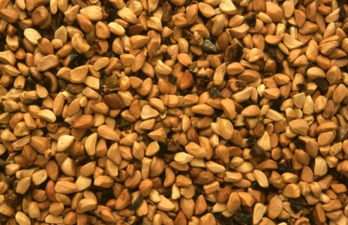 Natural remedy: Rosehip seeds
