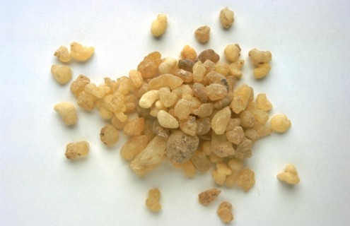 Medicinal plant