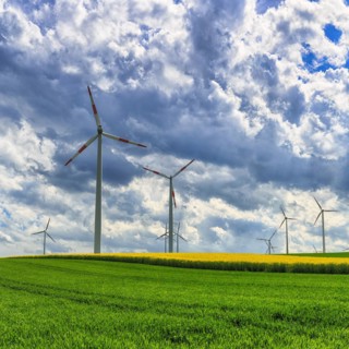 Wind turbine in a rural area