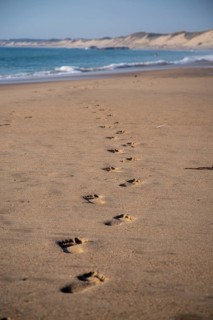 Footprints on the long sandy beach of the Cote dArgent