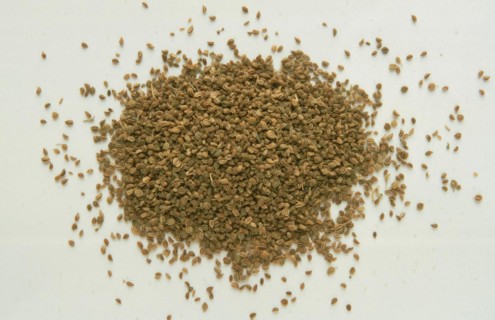 Medicinal herbs: celery