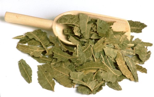 Natural remedy: Neem