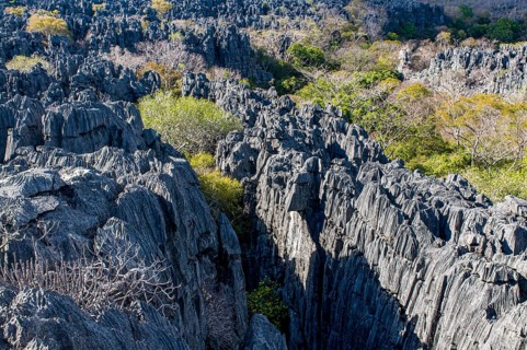 Tsingy plateau in the Ankarana Special Reserve
