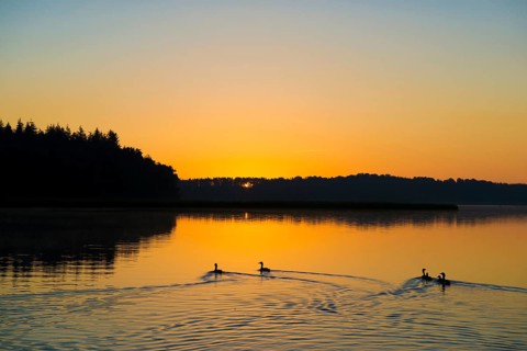 Schaalsee near Seedorf