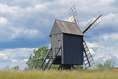 A windmill in a meadow