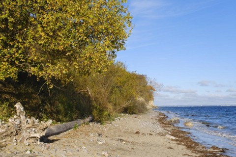 Brodtener Steilufer on the Baltic Sea