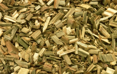 Medicinal herbs dried chicory