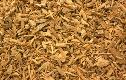 Medicinal plant