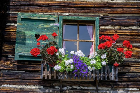 Flower window at the Priesshuette on the Nockalm Road