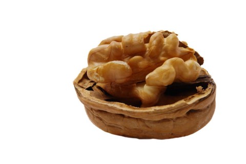 Unshelled walnut in close-up isolated on white background