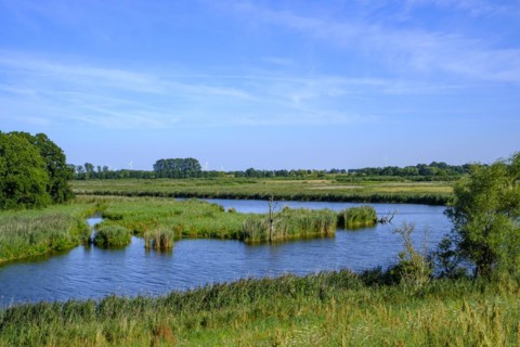 River landscape of the meandering Peene in the Peene valley near Randow
