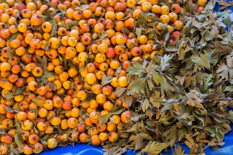 Azarole