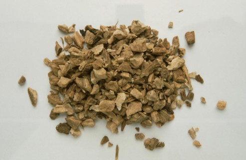 Medicinal herbs: elecampane