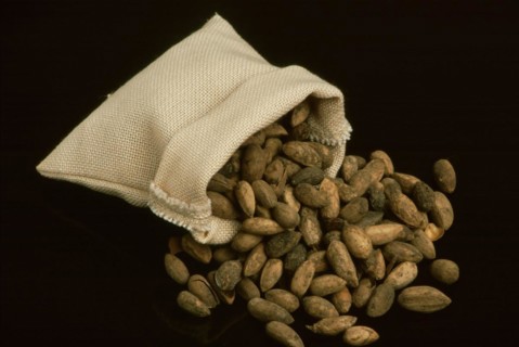 Natural remedies: neem