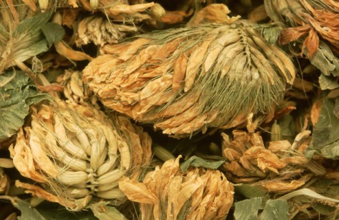 Natural remedy