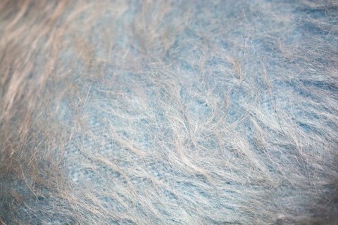 Gray and blue felt like fabric material forming a texture background