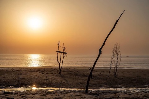 Abstract sculpture made of driftwood stands in the evening light on the beach