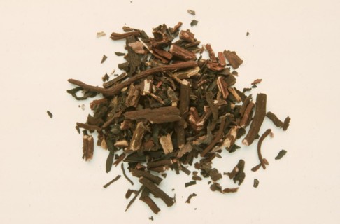 Alkanna tinctoria