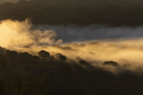 Monfraguee National Park