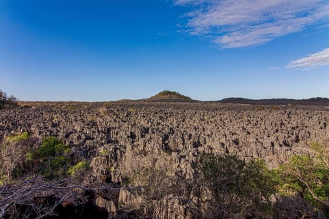 Tsingy plateau in the Ankarana Special Reserve