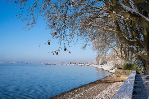 View of Lake Constance from the snow-covered Mettnaupark